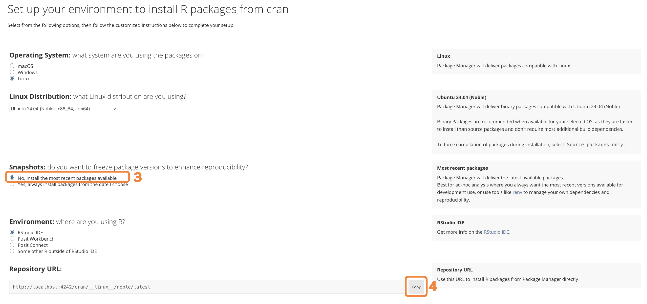 Package Manager setup page screenshot, showing snapshot section