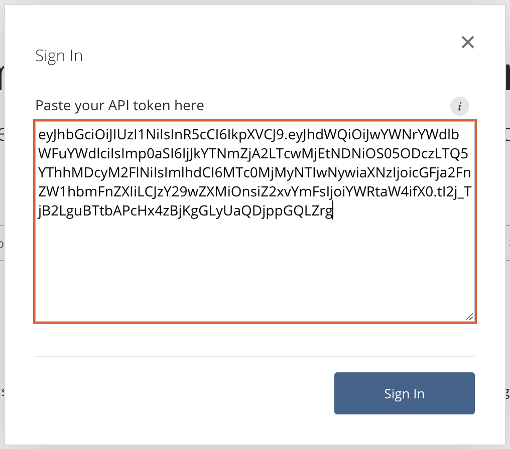 Package Manager sign in page with a pasted token